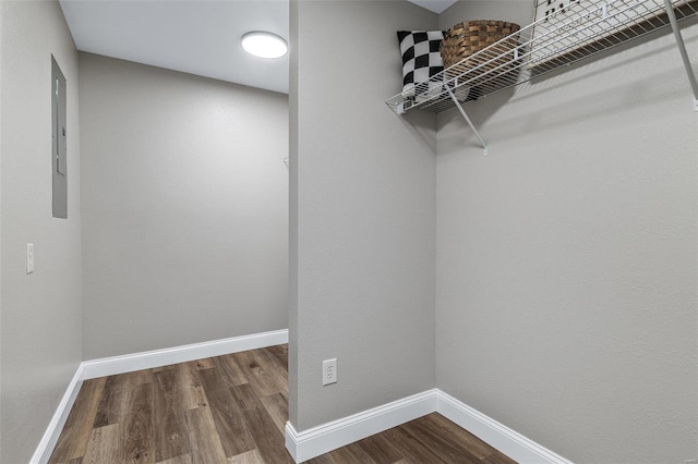 spacious closet with hardwood / wood-style floors and electric panel