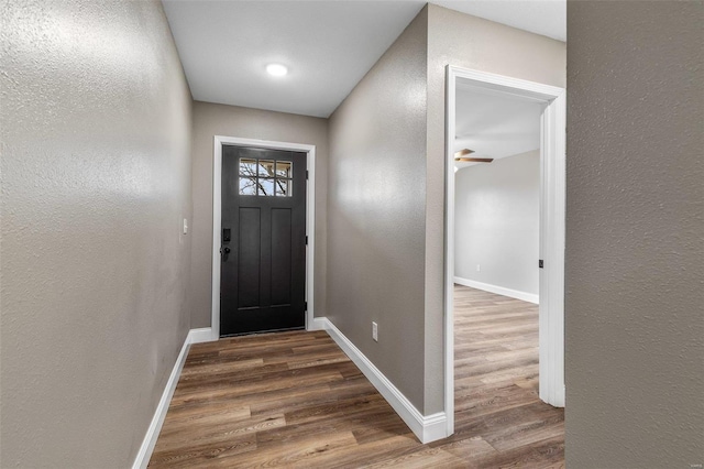 entryway with dark hardwood / wood-style flooring