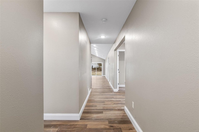 hallway with dark hardwood / wood-style floors