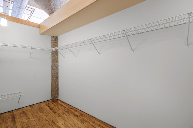 spacious closet featuring a skylight and wood-type flooring