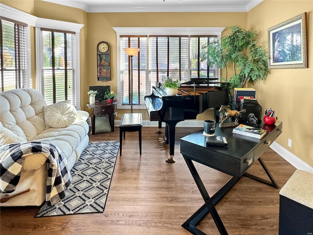 interior space featuring hardwood / wood-style floors and crown molding