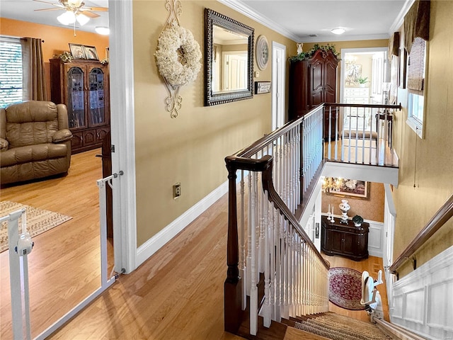 staircase featuring ceiling fan, ornamental molding, and wood-type flooring