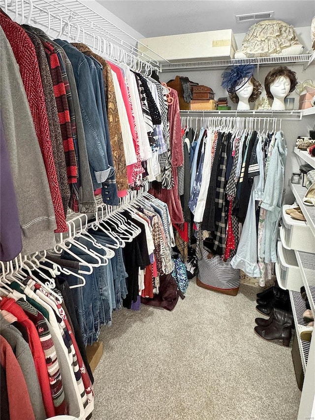 spacious closet featuring carpet flooring