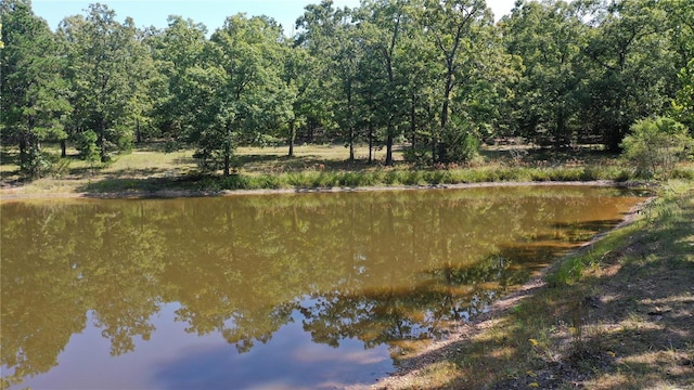 view of water feature