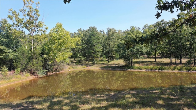 view of local wilderness with a water view