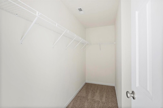 spacious closet featuring visible vents and carpet floors