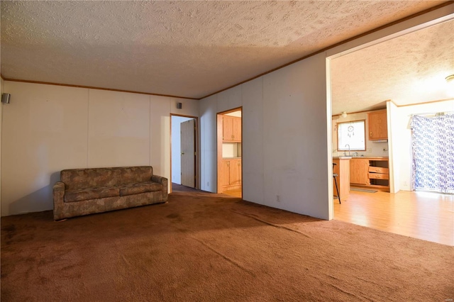 unfurnished living room featuring light carpet and a textured ceiling