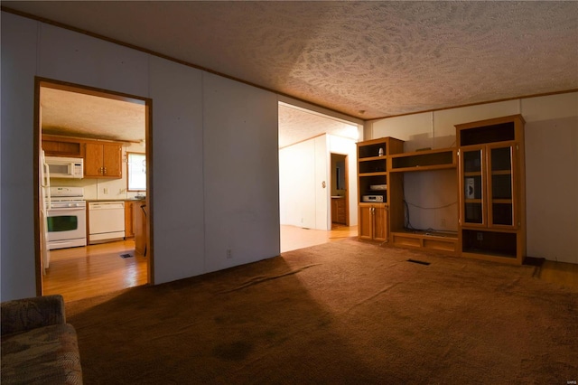 unfurnished living room featuring light colored carpet and a textured ceiling