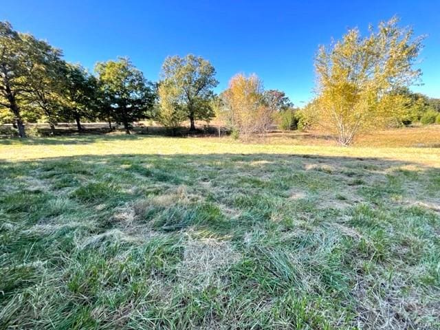 view of yard with a rural view