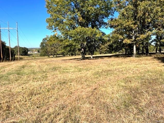 view of yard featuring a rural view