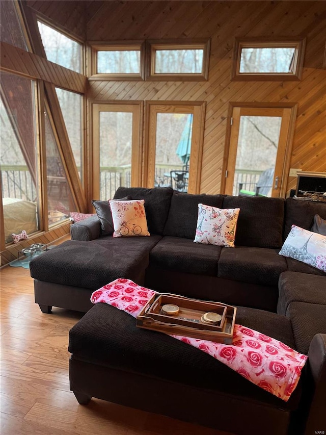 living room featuring wood walls and light hardwood / wood-style floors