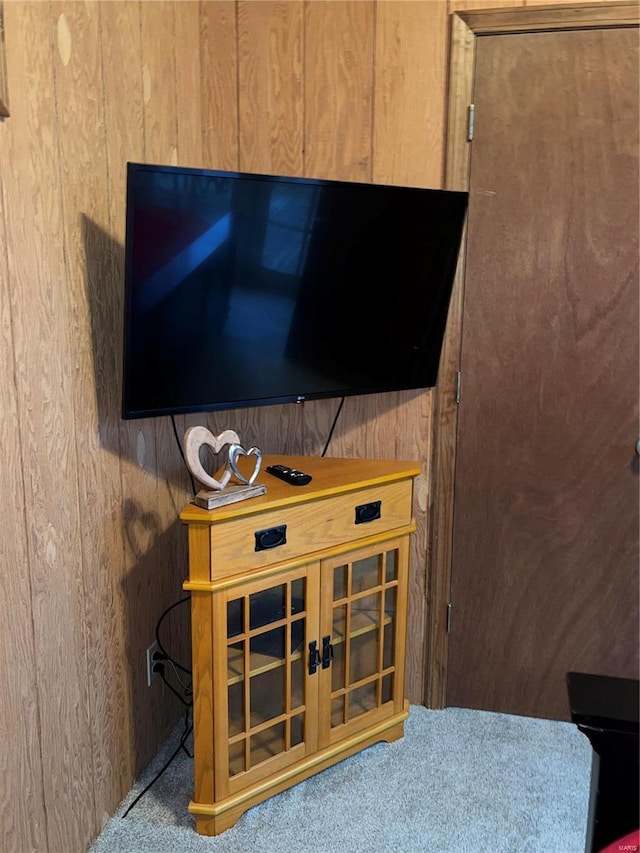 room details featuring wood walls and carpet flooring