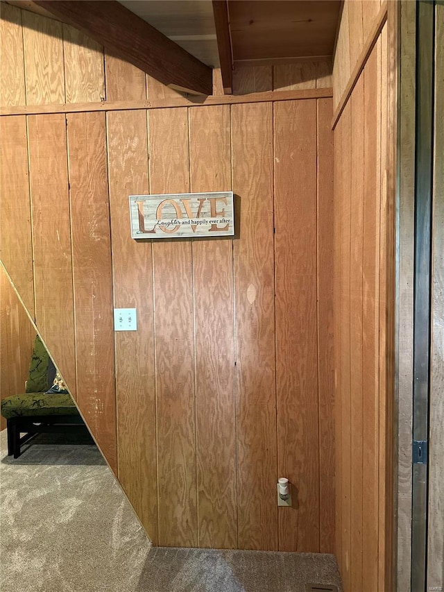 interior details with wood walls and carpet flooring