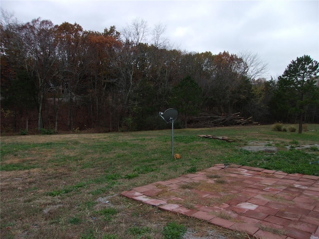 view of yard featuring a patio area