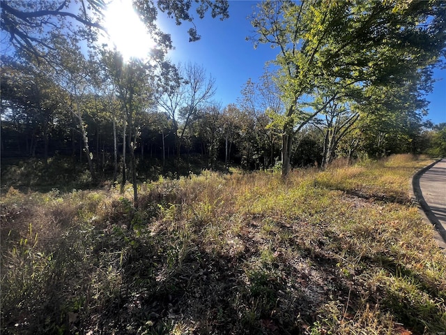 0 Dorothy Dr, Perryville MO, 63775 land for sale