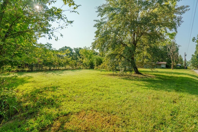 view of yard