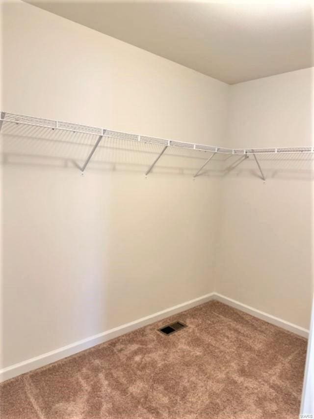 walk in closet with carpet floors