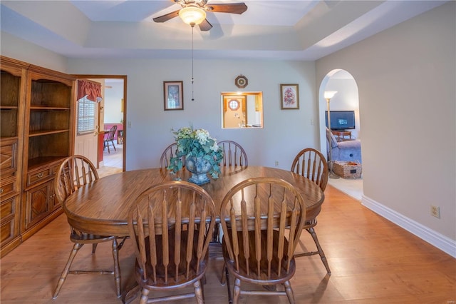 dining space featuring a raised ceiling, ceiling fan, and wood-type flooring