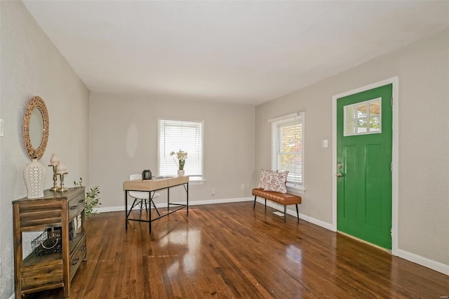 entryway with plenty of natural light and dark hardwood / wood-style floors