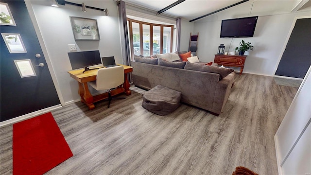 living room with lofted ceiling and wood-type flooring