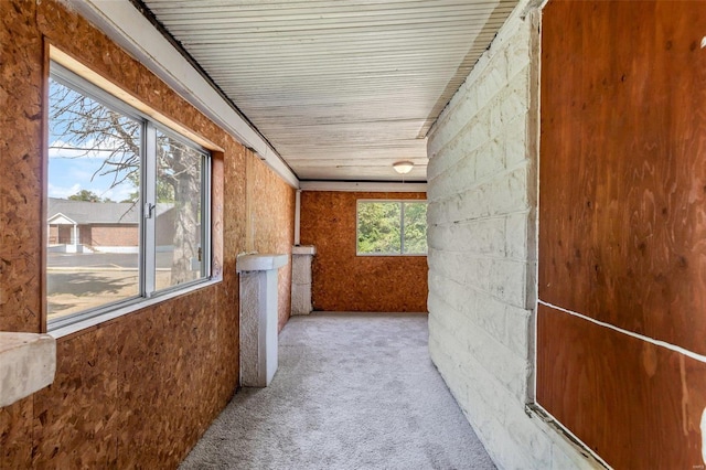 hallway with carpet