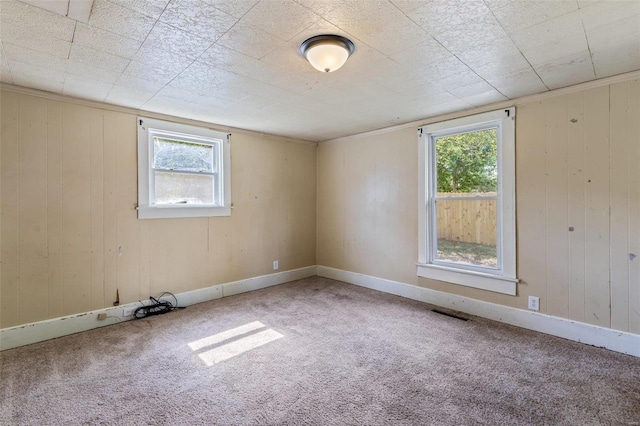 carpeted spare room with visible vents, wood walls, and a healthy amount of sunlight