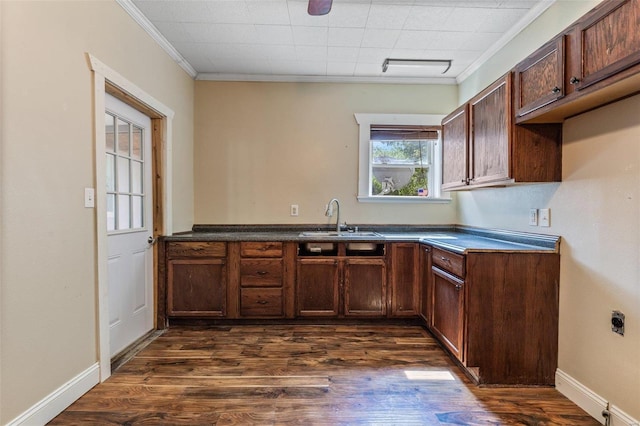 kitchen featuring ornamental molding, dark countertops, a sink, and dark wood finished floors