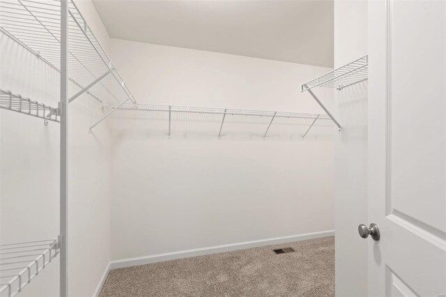 walk in closet featuring carpet flooring