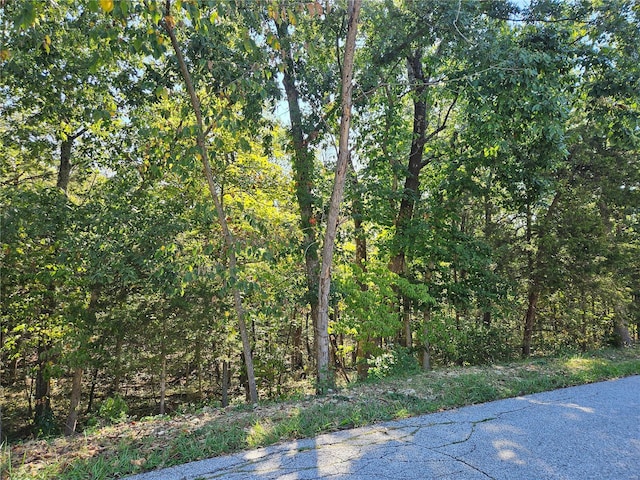 9528 Duffer Dr, Hillsboro MO, 63050 land for sale