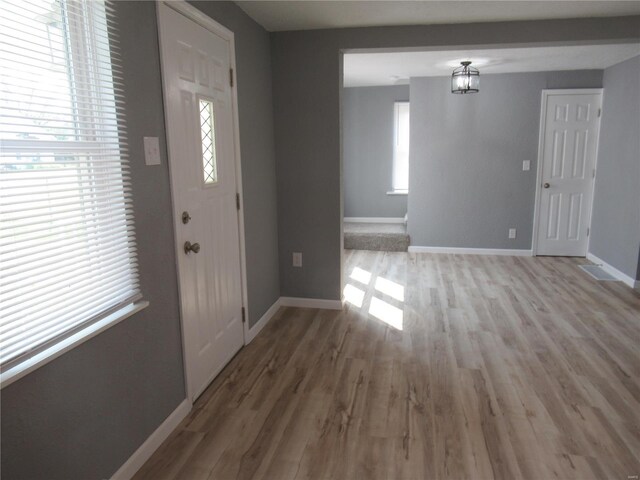 entryway with wood-type flooring and a wealth of natural light