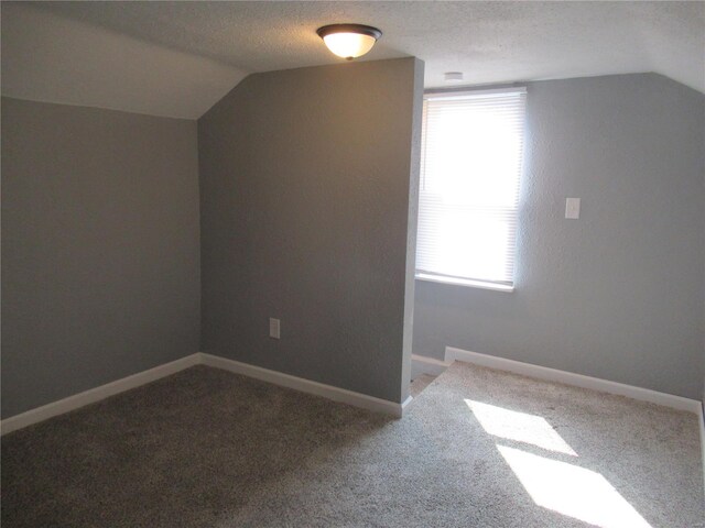 additional living space with a textured ceiling, carpet, and lofted ceiling