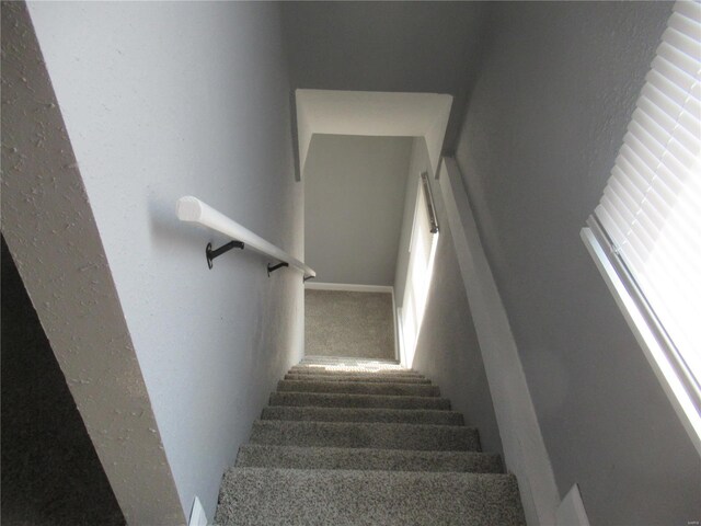 stairs featuring carpet flooring