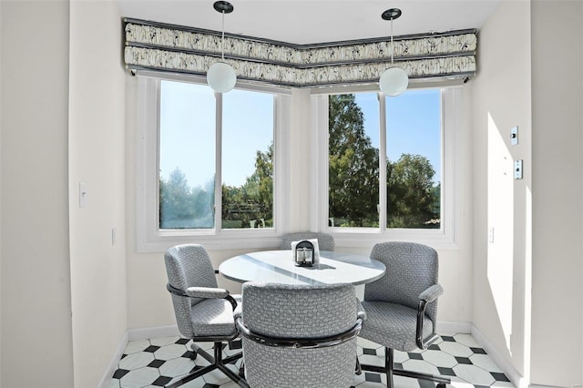 dining room featuring a wealth of natural light