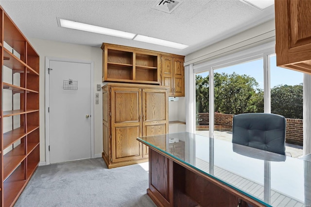 unfurnished office with light carpet and a textured ceiling