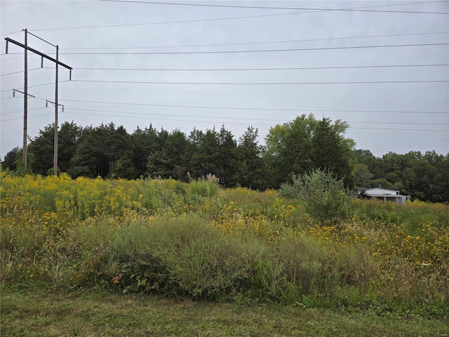 view of local wilderness