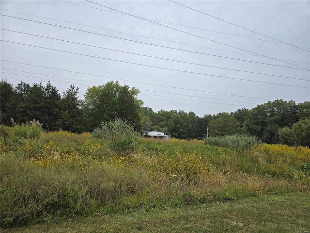 view of local wilderness