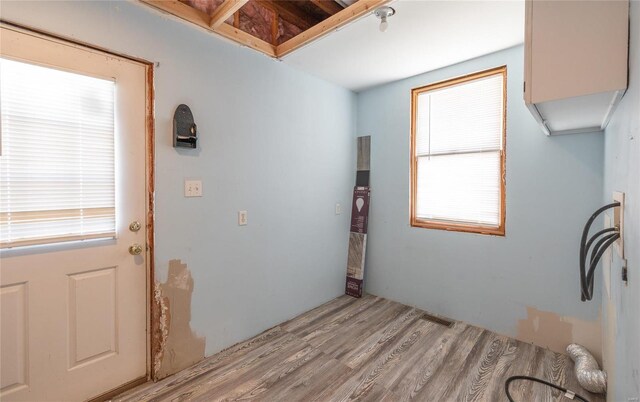 washroom featuring light wood-type flooring, washer hookup, and a wealth of natural light