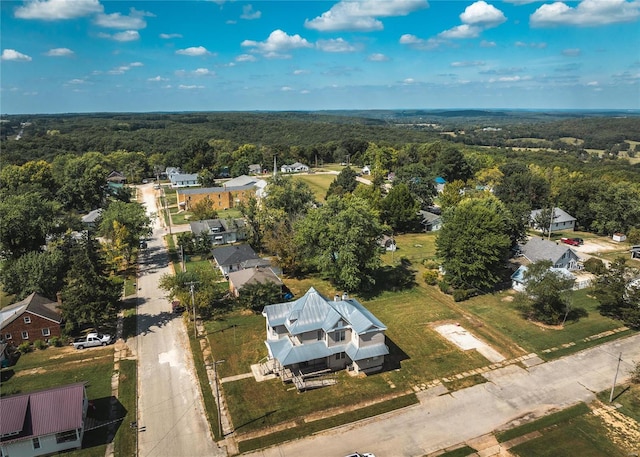 bird's eye view