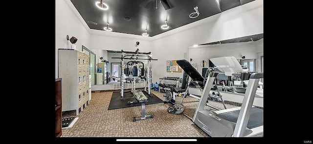 exercise room with a high ceiling and carpet floors