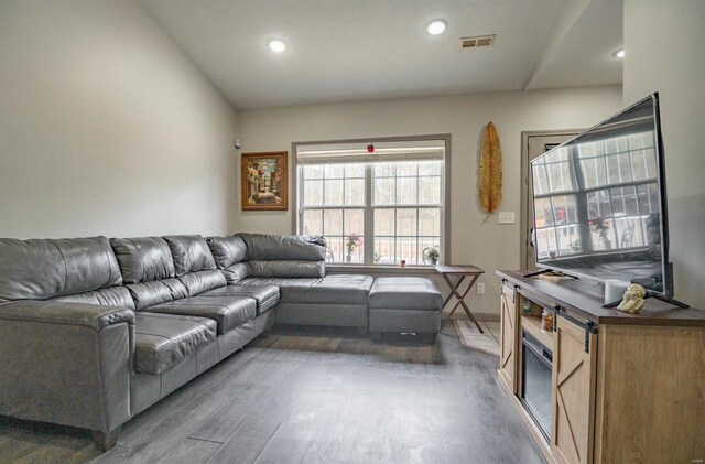 living room featuring lofted ceiling and dark hardwood / wood-style floors