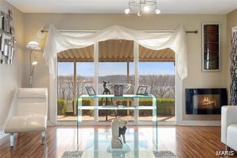 entryway featuring hardwood / wood-style flooring