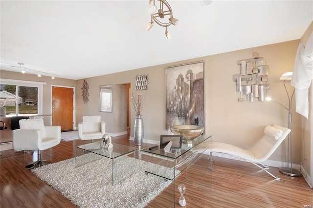 living room featuring hardwood / wood-style flooring