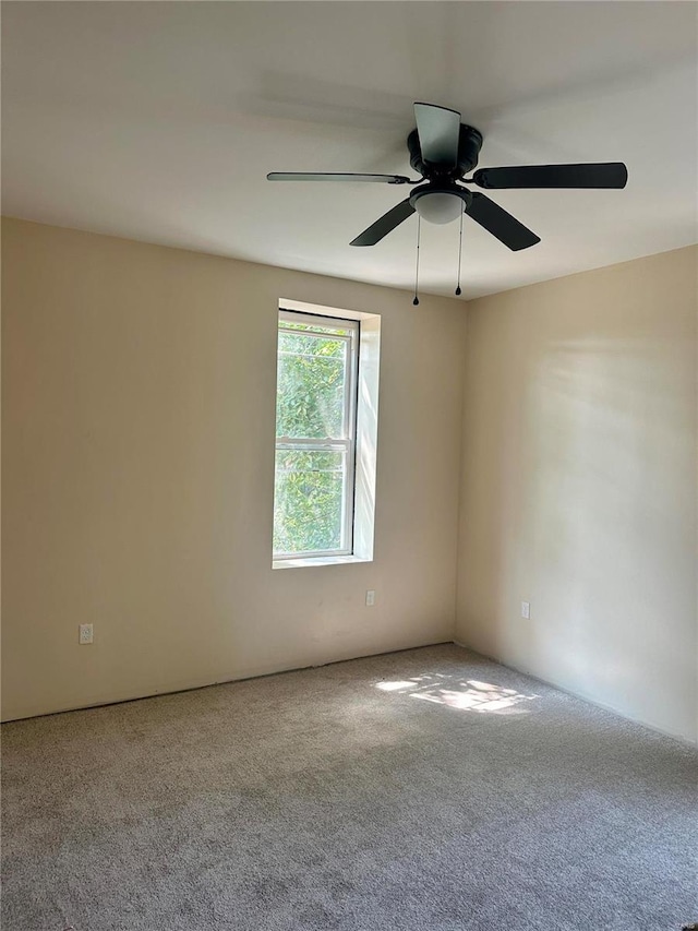 spare room with ceiling fan and carpet floors