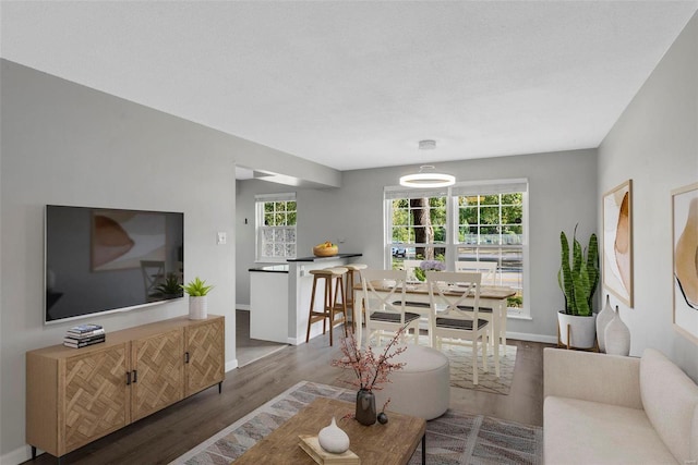 living room with dark hardwood / wood-style floors