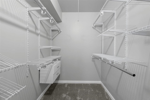 spacious closet featuring dark colored carpet