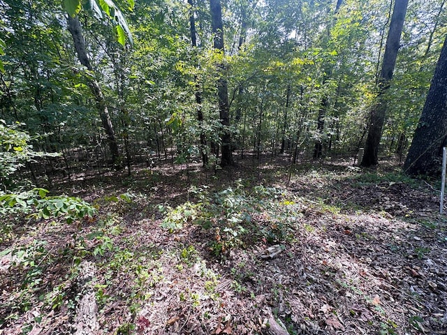 0 Tomaro Trl, Poplar Bluff MO, 63901 land for sale