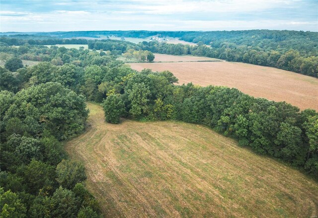 bird's eye view with a rural view