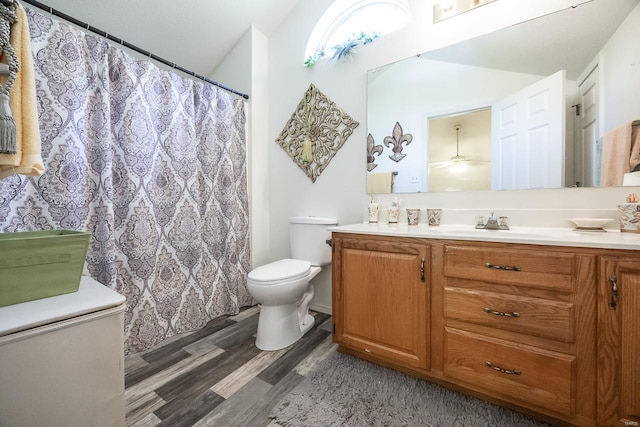 bathroom featuring vanity, toilet, and wood-type flooring