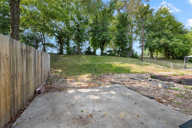 view of yard with a patio area