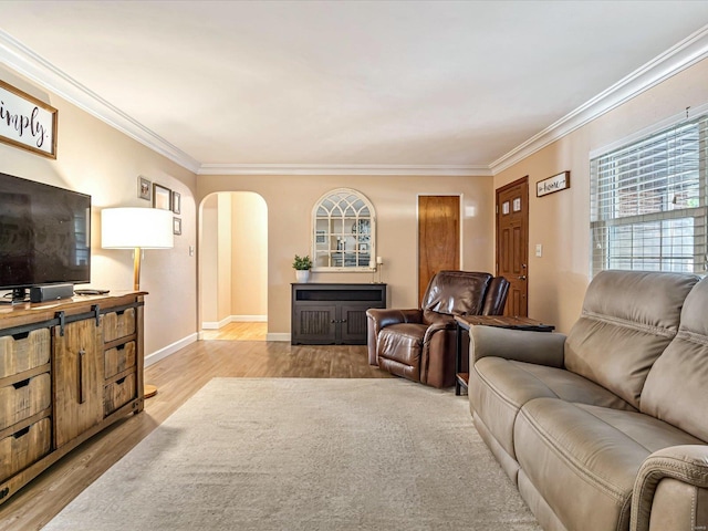 living room featuring light hardwood / wood-style floors and ornamental molding